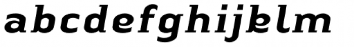 Linotype Authentic Small Serif Std Medium Italic Font LOWERCASE
