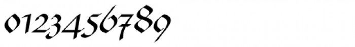Linotype Buckingham Fraktur Regular Font OTHER CHARS