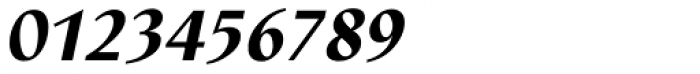 Linotype Nautilus Pro Black Italic Font OTHER CHARS