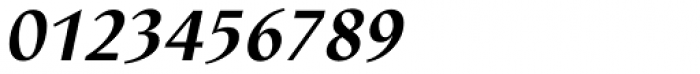 Linotype Nautilus Pro Bold Italic Font OTHER CHARS