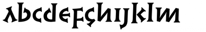 Linotype Syntax Lapidar Serif Text Pro Bold Font LOWERCASE