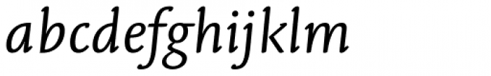 Linotype Syntax Letter Std Regular Italic Font LOWERCASE