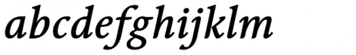 Linotype Syntax Serif Medium Italic Font LOWERCASE