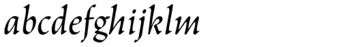 Linotype Trajanus Italic Font LOWERCASE
