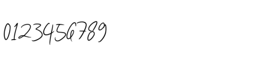 Lisasha Signature Font OTHER CHARS
