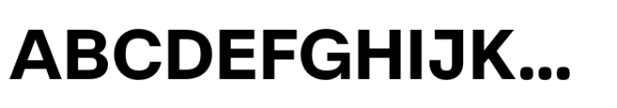 Literal Bold Font