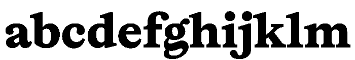 Lingo Black Instance FONT