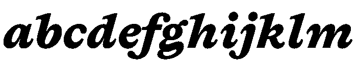 Lingo BlackItalic Instance FONT