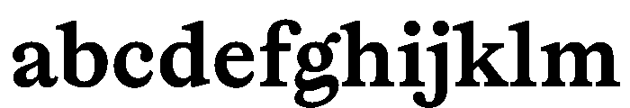 Lingo Bold Instance FONT