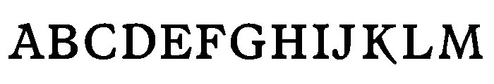 LiteraturaFuture Bold Font UPPERCASE