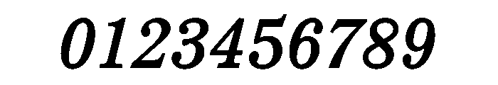 LiteraturaFuture BoldItalic Font OTHER CHARS