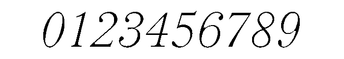 LiteraturaFuture Italic Font OTHER CHARS