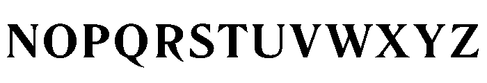LiteraturaPresent Bold Font UPPERCASE
