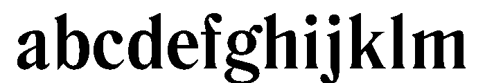 LiteraturaPresent Bold FONT
