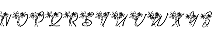 LMS Daisy Days Font LOWERCASE