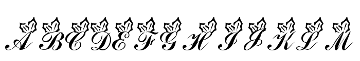 LMS Holly Jolly Christmas Font LOWERCASE