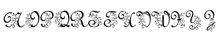 LMS Lily Of The Valley Font UPPERCASE