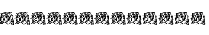 LMS Tiger Toy Font UPPERCASE