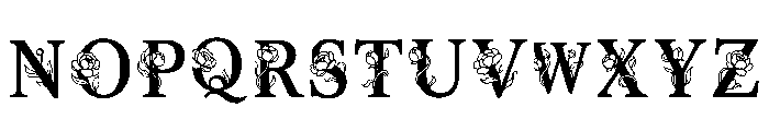 Loris Regular Font LOWERCASE