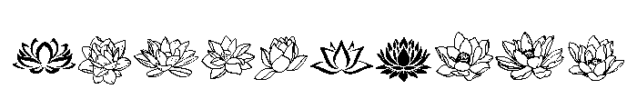 Lotus Line Set Font OTHER CHARS