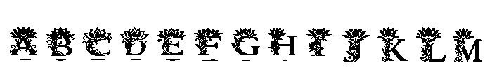 Lotus Regular FONT