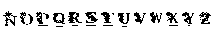 Lotus Regular Font LOWERCASE