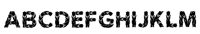 Lotus_blossoming Regular FONT