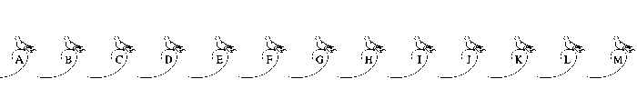 Love Bird Wedding FONT