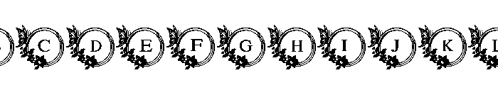 Love floral Butterfly FONT