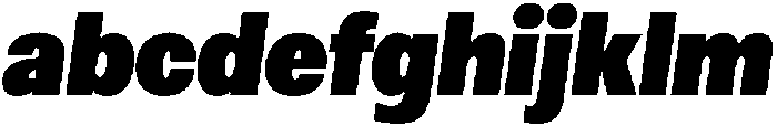 Loyaute Black Italic otf (900) FONT