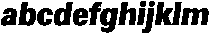 Loyaute Bold Italic otf (700) FONT