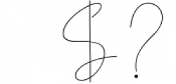 Longhair - Monoline Script Font Font OTHER CHARS