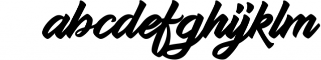 Lostyle Script | A bold handwritten font Font LOWERCASE
