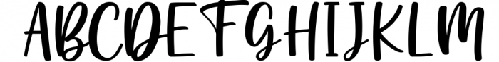 Lovely Font Bundle by Typestory 1 Font UPPERCASE