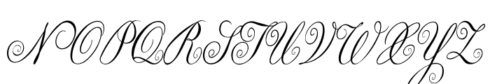 Loopi-CondensedItalic Font UPPERCASE