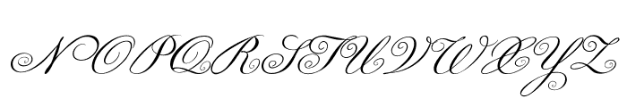 Loopi-Italic Font UPPERCASE