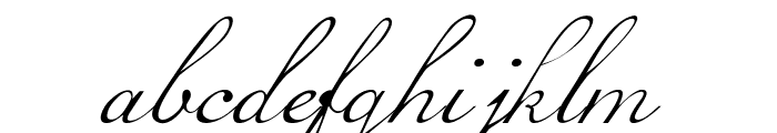 Loopi-Italic Font LOWERCASE