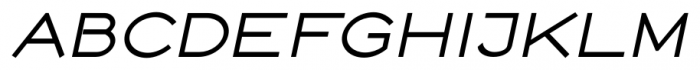 Logo Sans  Bold Italic Font UPPERCASE