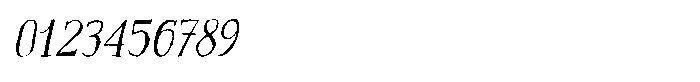 Locked Whisper Italic Serif Font OTHER CHARS