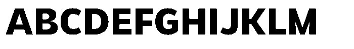 LogPose Log Pose Bold Font UPPERCASE