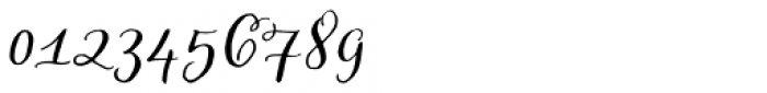 Looking Flowers Script Pro Font OTHER CHARS