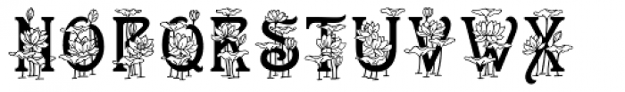 Lotus Font LOWERCASE