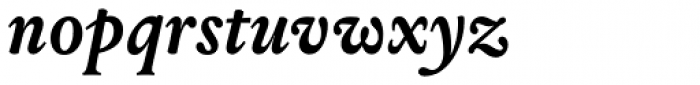 Louize Bold Italic Font LOWERCASE