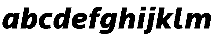 Locator Black Italic FONT