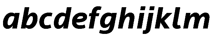 Locator Bold Italic FONT