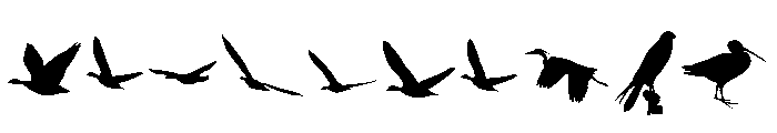 LoveBirds Regular Font OTHER CHARS