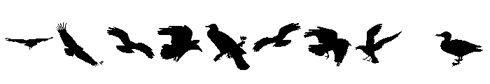 LoveBirds Regular Font OTHER CHARS