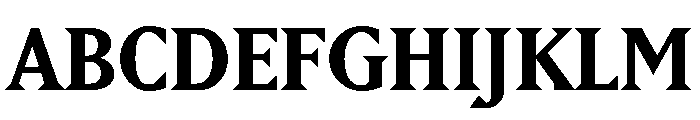 Ltr Principia Variable Bold Font UPPERCASE