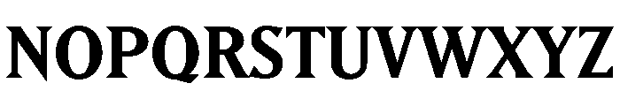Ltr Principia Variable Bold Font UPPERCASE