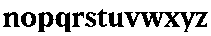Ltr Principia Variable Bold Font LOWERCASE